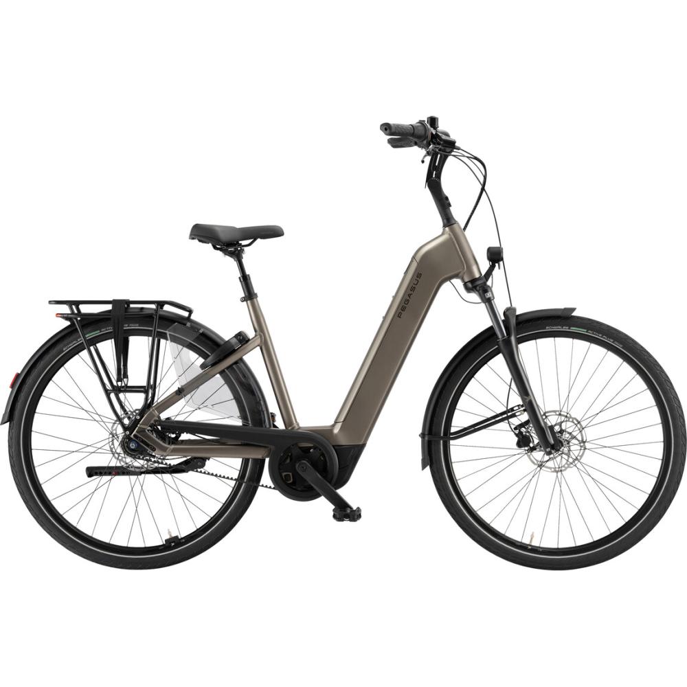 Pegasus Ravenna Evo 7 Belt